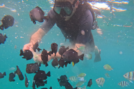 Sanur Snorkeling for kids