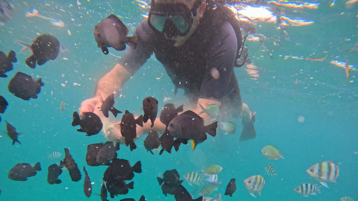 Sanur Snorkeling for kids