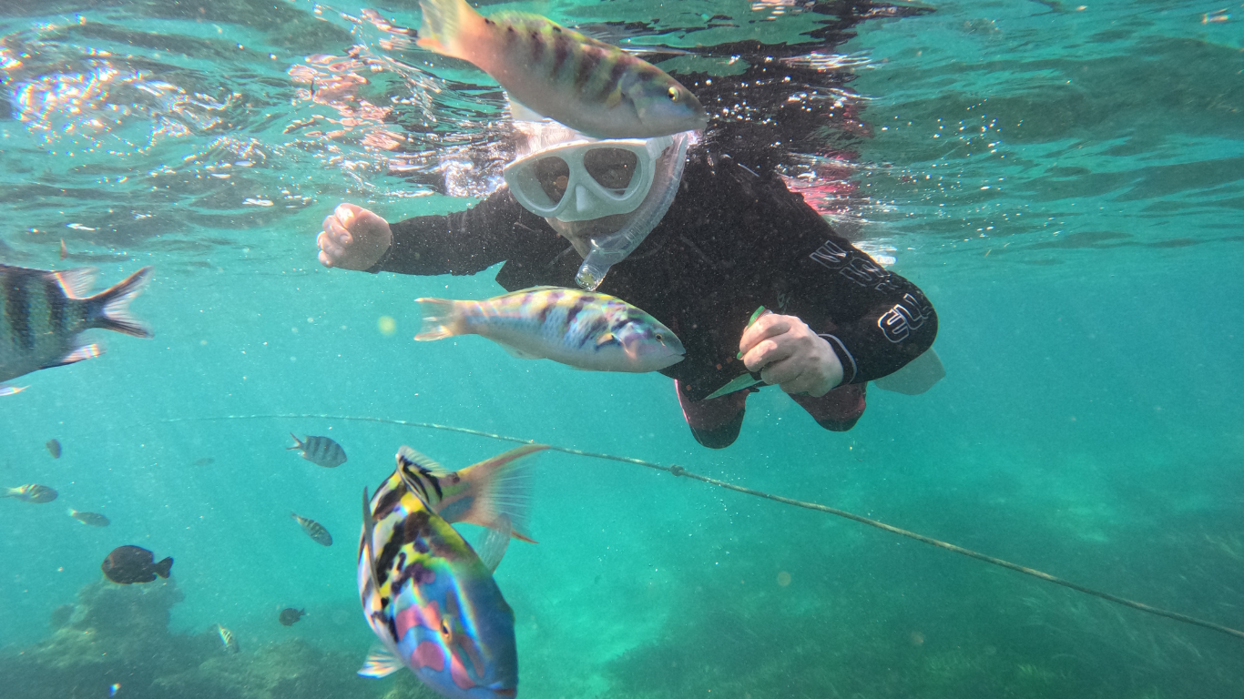 Sanur snorkeling tour